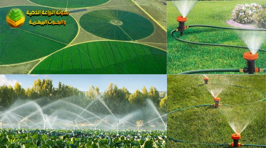 الري بالرش (Sprinkler Irrigation)