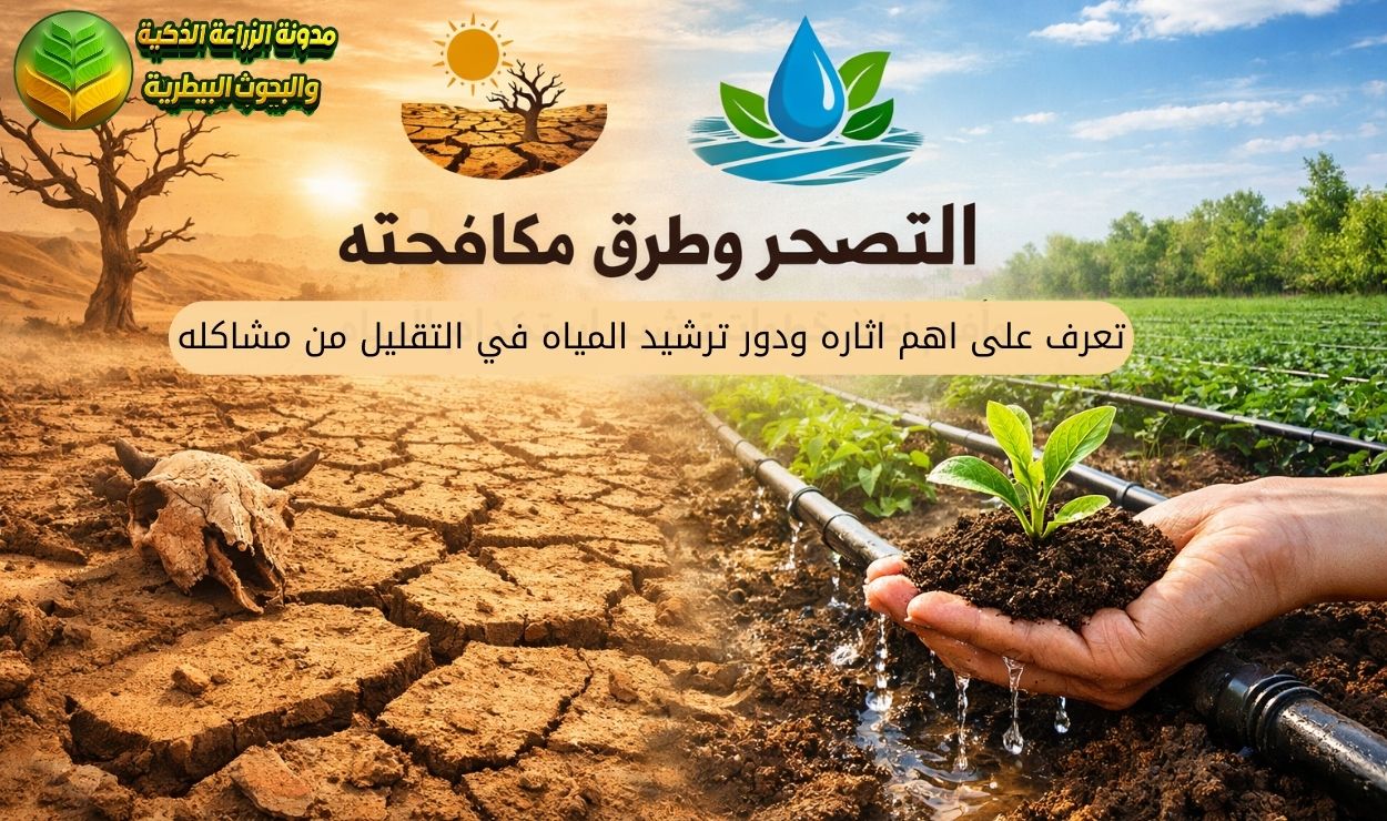 التصحر: تعرف على اهم اثاره ودور ترشيد المياه في التقليل من مشاكله