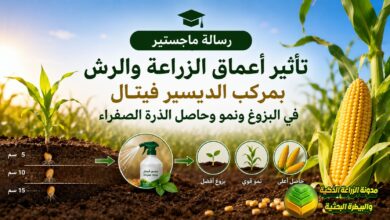 دراسة تحسين حاصل الذرة الصفراء بأعماق الزراعة والرش بمركب الديسبر فيتال