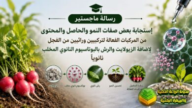 تسميد الفجل بالزيولايت والبوتاسيوم النانوي: دراسة زيادة الحاصل وتعديل المركبات الفعالة