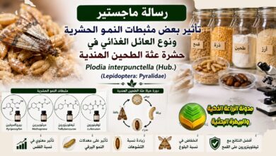 مكافحة عثة الطحين الهندية: دراسة أكاديمية تأثير مثبطات النمو الحشرية ونوع العائل الغذائي
