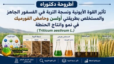 الفسفور الجاهز لمحصول الحنطة في الترب الكلسية: دراسة لزيادة الحاصل ومواجهة الملوحة