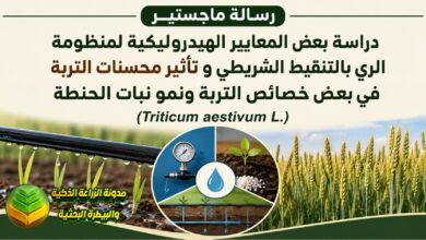 ري الحنطة بالتنقيط الشريطي ومحسنات التربة: دراسة أكاديمية لزيادة الحاصل وتوفير المياه