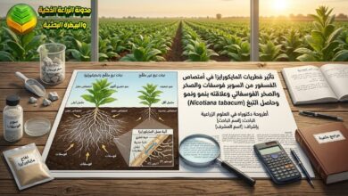 التسميد الحيوي لمحصول التبغ بفطريات المايكورايزا: دراسة لزيادة امتصاص الفسفور