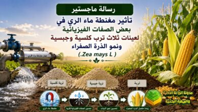 مغنطة ماء الري في الترب الكلسية والجبسية: دراسة لتحسين التربة وزيادة نمو الذرة الصفراء