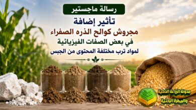 كوالح الذرة الصفراء: دراسة أكاديمية لتحسين الخصائص الفيزيائية وإصلاح التربة الجبسية