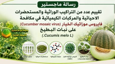 دراسة مكافحة فايروس موزائيك الخيار في البطيخ بالمستحضرات الإحيائية والبدائل الآمنة