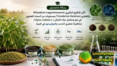 تسميد الماش باللقاحات الحيوية: تأثير التلقيح البكتيري والفطري ومستويات من السماد العضوي