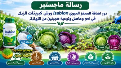 دور المحفز الحيوي Isabion وكبريتات الزنك في نمو وحاصل ونوعية هجينين من اللهانة