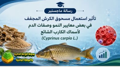 مسحوق الكرش المجفف في علائق الأسماك: بديل اقتصادي واعد لتعظيم أرباح مزارع الكارب