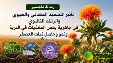 تسميد العصفر المعدني والحيوي والزنك النانوي: دراسة زيادة الحاصل وتقليل السماد الكيمياوي