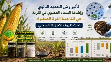 تسميد الذرة الصفراء بالحديد النانوي والسماد العضوي لمواجهة الإجهاد الملحي وزيادة الحاصل