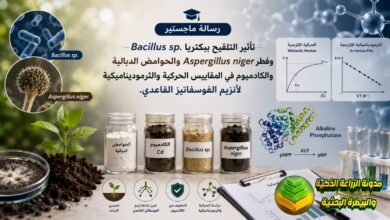 التخلص من الكادميوم بالتقنيات الحيوية: دور البكتيريا والفطريات في استعادة خصوبة التربة
