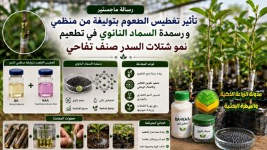 تطعيم السدر التفاحي وتنظيمه بالسماد النانوي: دراسة أكاديمية لنجاح الطعوم وتسريع النمو