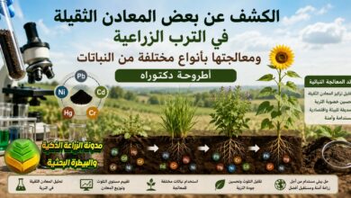 الكشف عن بعض المعادن الثقيلة في الترب الزراعية: دراسة المعالجة النباتية للترب الملوثة