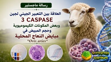 تحسين خصوبة النعاج المحلية: دراسة أكاديمية حول مكونات السائل الجريبي في زيادة التناسل