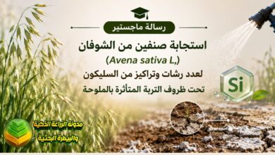 زراعة الشوفان في الأراضي المالحة: دراسة استخدام السليكون ومقاومة الإجهاد الملوحي