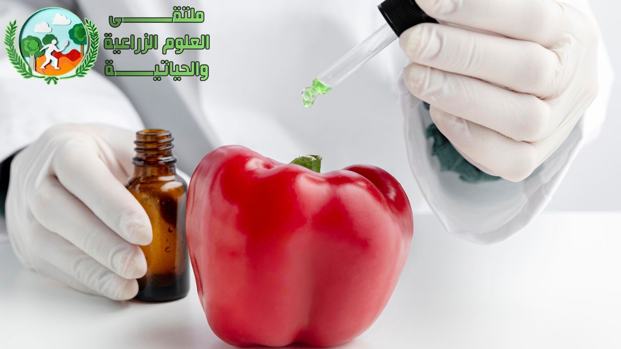 الأحماض الأمينية: انواع الاحماض الامينيه وخواصها وتركيبها الكيميائي