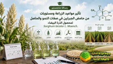 تأثير مواعيد الزراعة ومستويات من حامض الجبرلين في صفات النمو والحاصل لمحصول الذرة البيضاء Sorghum bicolor L. Moench.