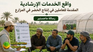 واقع الخدمات الإرشادية المقدمة للعاملين في إنتاج الخضر في المزارع