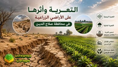 التعرية وأثرها على الأراضي الزراعية في محافظة صلاح الدين
