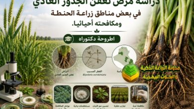 دراسة مرض تعفن الجذور العادي في بعض مناطق زراعة الحنطة ومكافحته أحيائيا