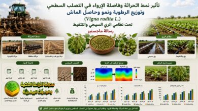 نمط الحراثة والإرواء على التصلب السطحي ونمو على الماش تحت الري السيحي والتنقيط