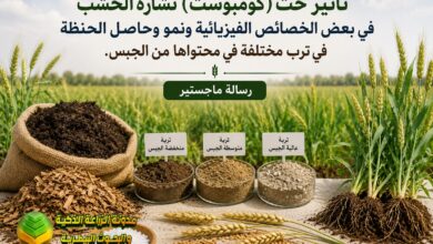 كومبوست : تأثيرها على الخصائص الفيزيائية ونمو الحنطة في ترب جبسية مختلفة