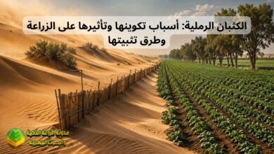 الكثبان الرملية: أسباب تكوينها وتأثيرها على الزراعة وطرق تثبيتها