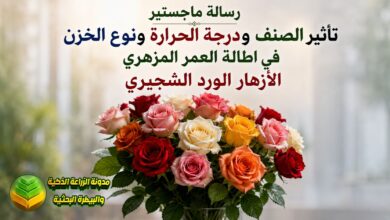 إطالة عمر الورد الشجيري المقطوف: دراسة حول الصنف والحرارة وطرق الخزن المثالية