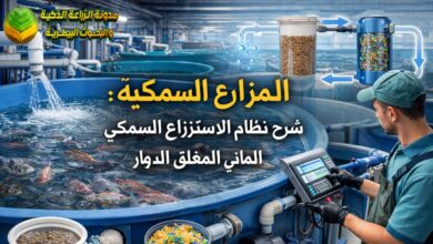 المزارع السمكية : شرح نظام الاستزراع السمكي المائي المغلق الدوار