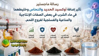 تأثير أكسيد الحديد والنحاس في ماء الشرب على فروج اللحم