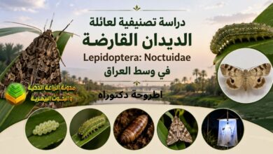 مكافحة الديدان القارضة في العراق: دراسة تصنيفية ودليل عملي لحماية المحاصيل الزراعية