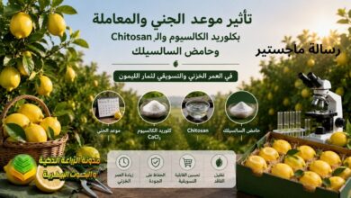 الليمون الحلو المحلي: تأثير موعد الجني ومعاملات مختلفة على تخزين وتسويق ثمار الليمون