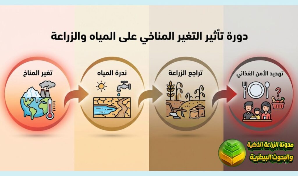 تأثير التغيرات المناخية على الموارد المائية والزراعة