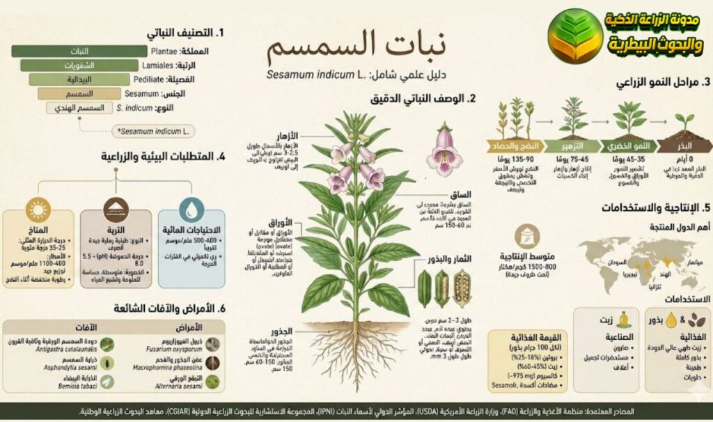نبذة علمية عن نبات السمسم
