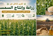 تقرير شامل عن زراعة وإنتاج السمسم: الدليل العلمي لزيادة الإنتاجية وتحسين الجودة