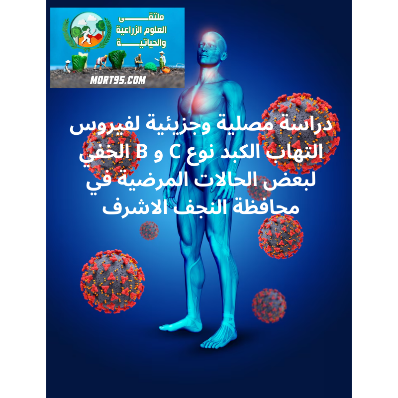 دراسة مصلية وجزيئية لفيروس التهاب الكبد نوع C و B الخفي لبعض الحالات المرضية في محافظة النجف الاشرف