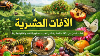 الآفات الحشرية : كتاب شامل عن الآفات الحشرية التي تصيب بساتين الخضر والفاكهة والزينة