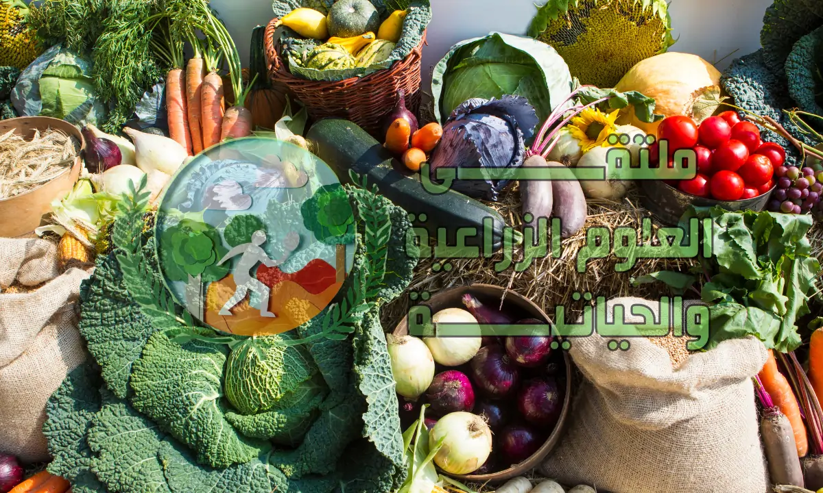 أهم المحاصيل الشتوية ومواعيد زراعتها وأهم الآفات لها والعلاج في 2026