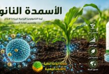 الأسمدة النانوية: مستقبل الزراعة الذكية ودليلك الشامل لفوائدها وأنواعها