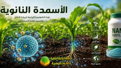 الأسمدة النانوية: مستقبل الزراعة الذكية ودليلك الشامل لفوائدها وأنواعها