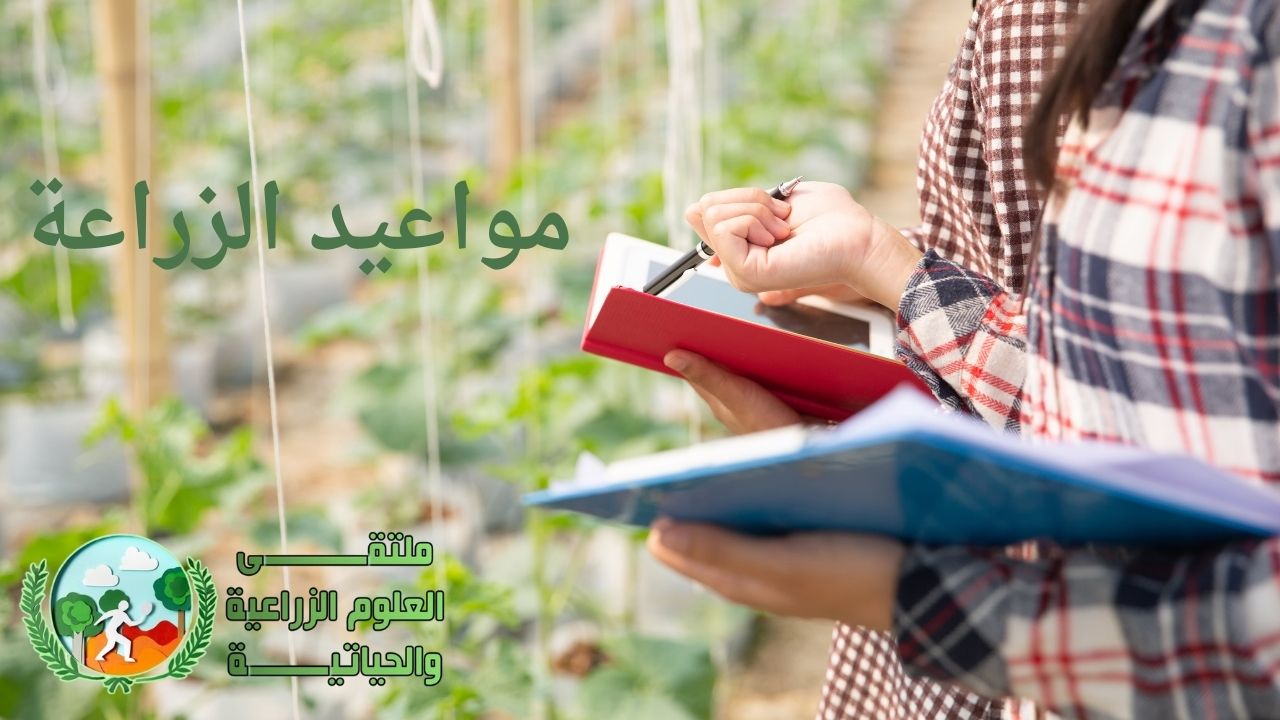 مواعيد الزراعة الصحيحة للمحاصيل الزراعية: دليل شامل حسب الفصول والمناخ