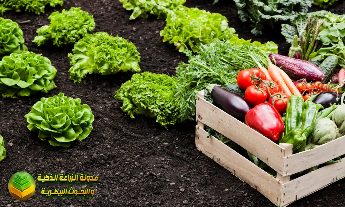 التربة الزراعية: دليلك الشامل لفهم أساس الإنتاج الزراعي | Agricultural Soil