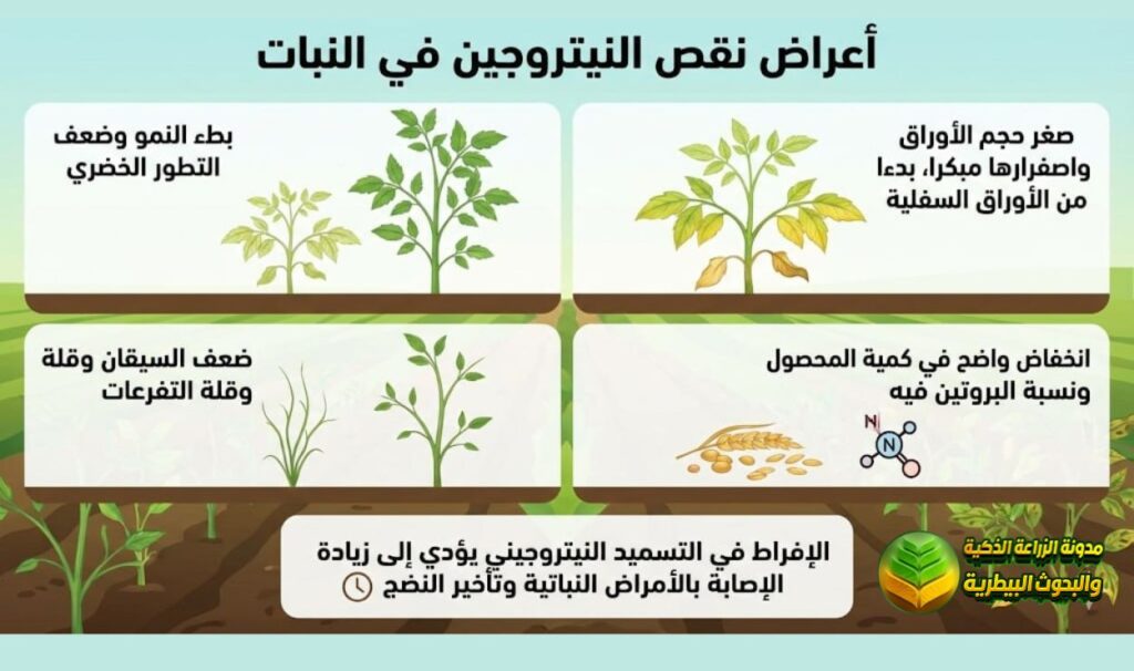 أعراض نقص النيتروجين