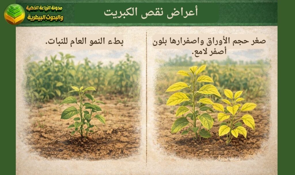 أعراض نقص الكبريت