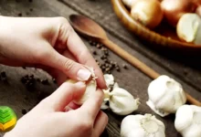 زراعة الثوم (Garlic Cultivation) للمبتدئين والخبراء: أسرار النجاح في منطقتك العربية