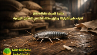 حشرة السمك (Silverfish): تعرف على أضرارها وطرق مكافحتها في المخازن الزراعية
