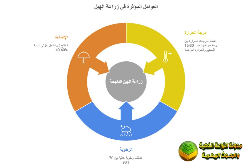 الظروف المناخية المناسبة لزراعة الهيل