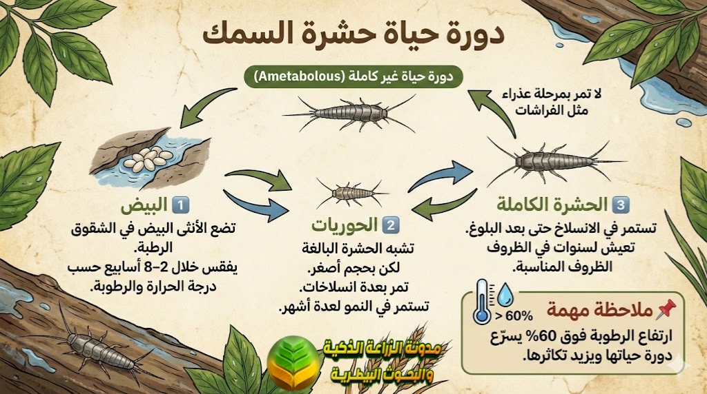 دورة حياة حشرة السمك